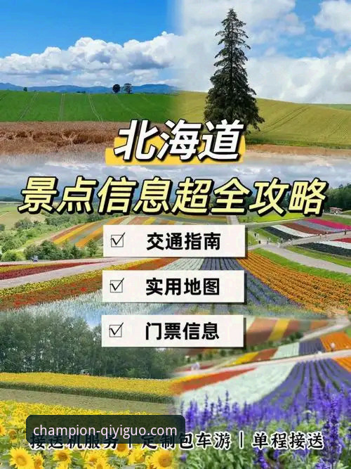 奇异果体育冠军之路攻略深度解析：从入门到精通的全面指南