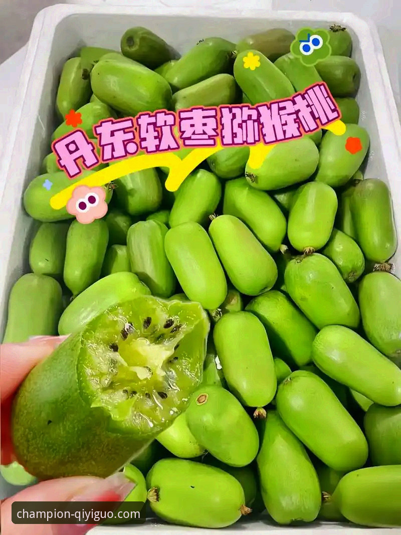 奇异果体育官网最新版本使用指南 资深用户分享奇异果体育官网最新版本使用指南:从下载到实战的完整心得