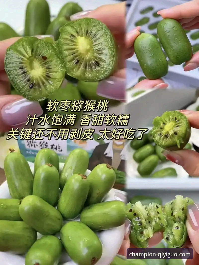 奇异果体育版本历史全解析：从基础功能到冠军之路的进化指南